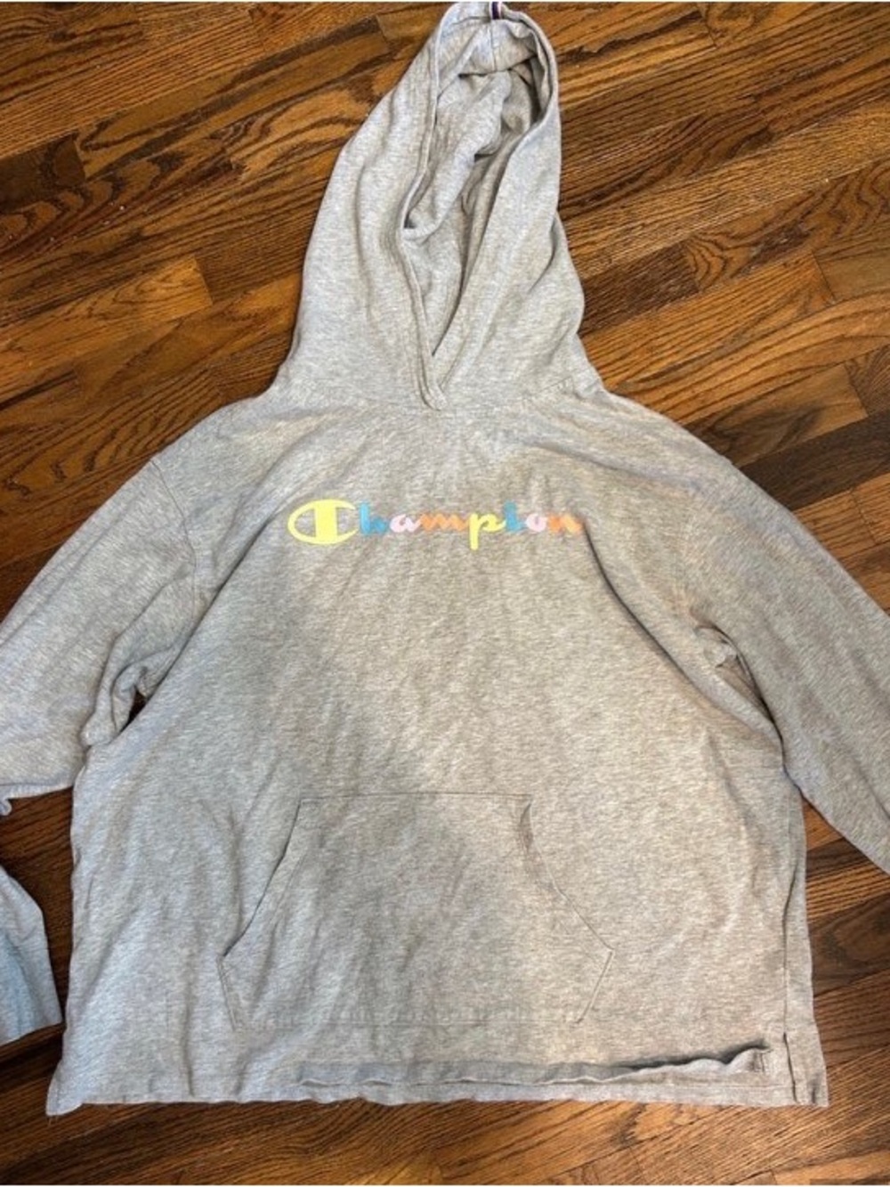 Champion Gray Hoodie with Pastel Rainbow Logo
